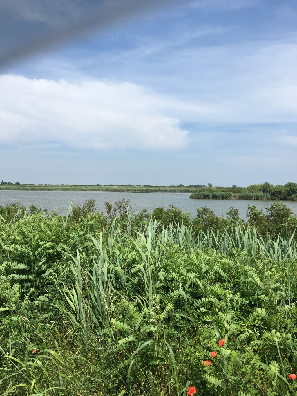 La libertà di viaggiare senza meta …… il Delta del Po (giorno&nbsp;1)