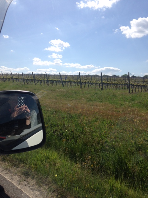 In Toscana 4 giorni con il furgoncino VW…….(parte prima)