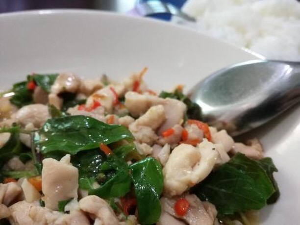 Spicy chicken with basil …… Caleb an italian “chef” in Thailand 