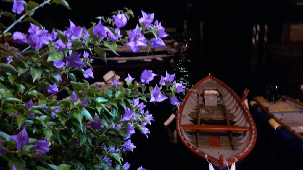 Cambiando prospettiva …..Limone sul Garda in&nbsp;notturna