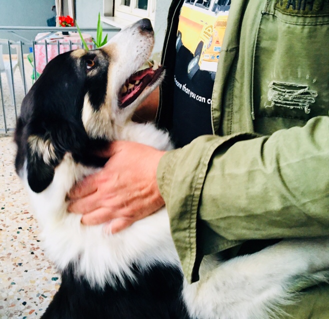 Argo …. una storia a lieto fine