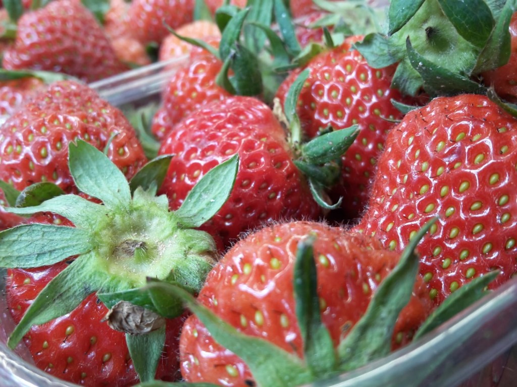 La Val Martello e le fragole …. binomio&nbsp;goloso!!