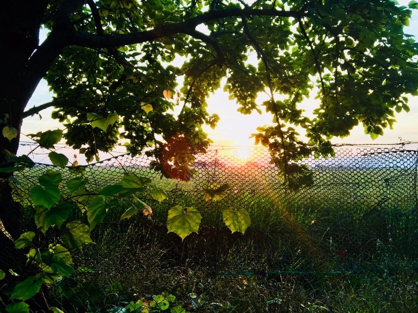 Cambiamenti !cosa stiamo combinando&nbsp;?