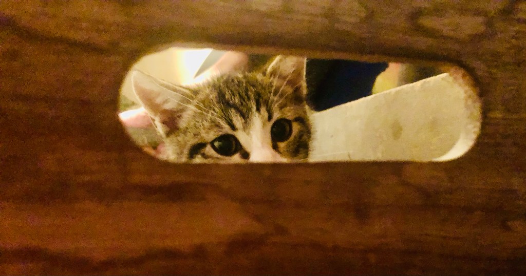 Il 2021 sta arrivando ! Tante speranze e tanti progetti&nbsp;!