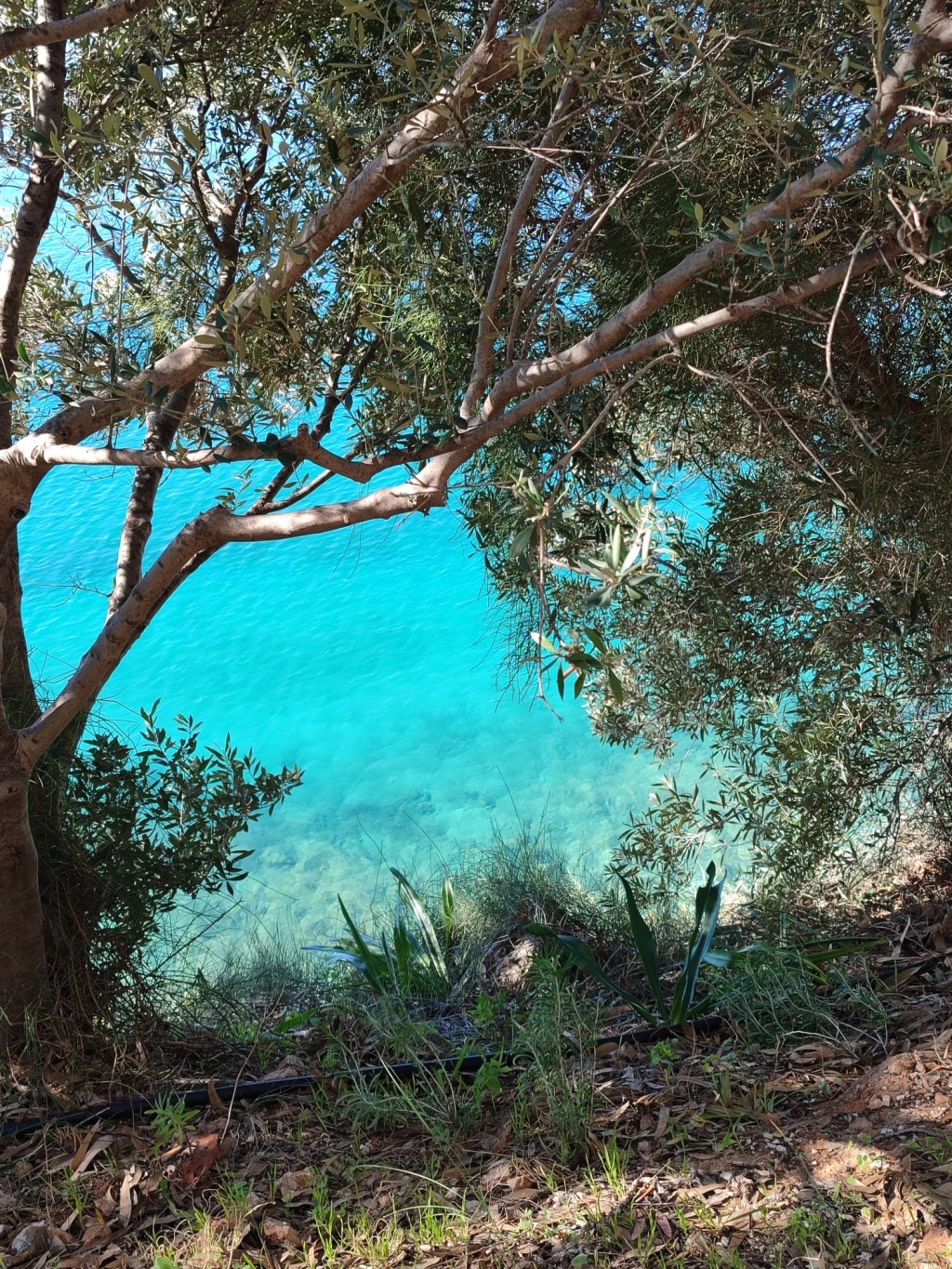 15mo e 16mo giorno i colori del&nbsp;mare